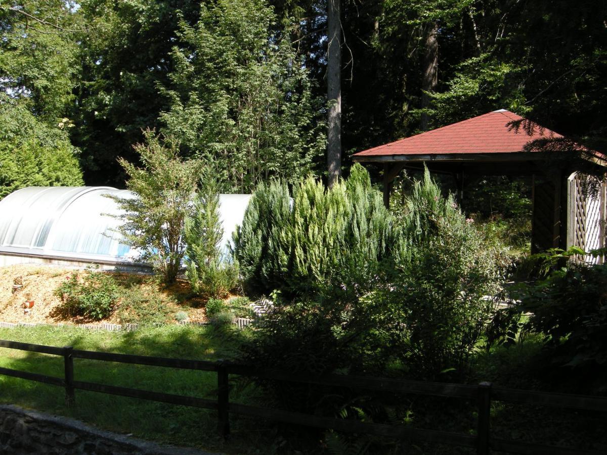 Villa Angelika Altenberg  Dış mekan fotoğraf