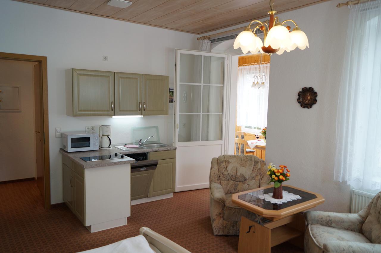 Villa Angelika Altenberg  Dış mekan fotoğraf