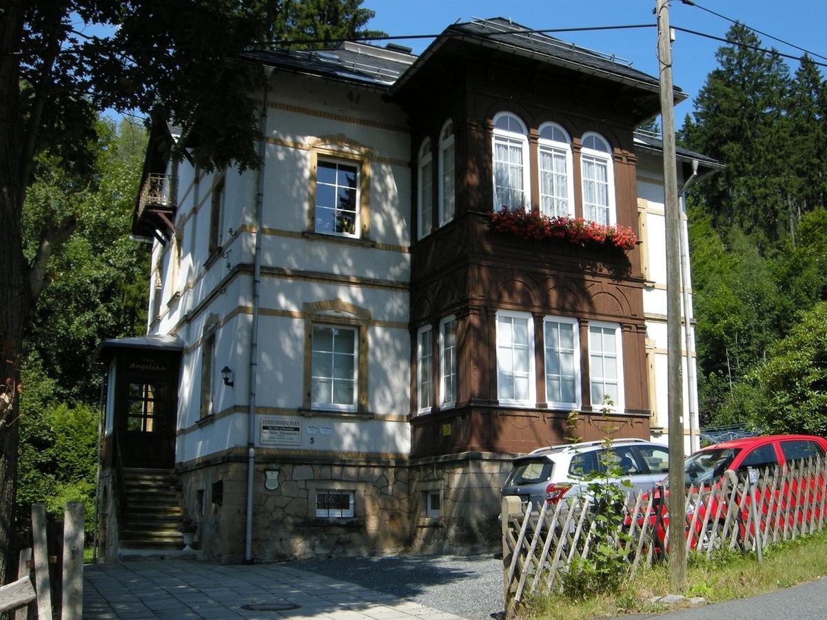 Villa Angelika Altenberg  Dış mekan fotoğraf