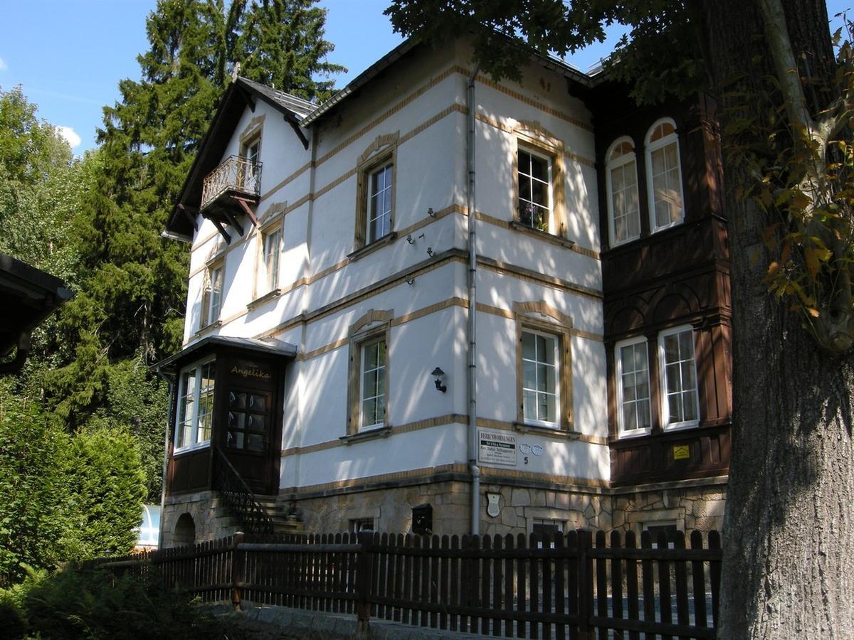 Villa Angelika Altenberg  Dış mekan fotoğraf